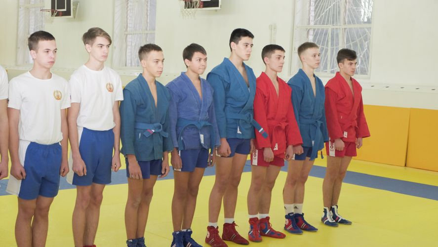 Самбо он-лайн? Реально!