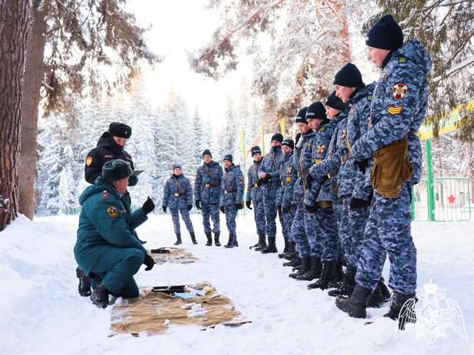ПО ПРИМЕРУ ГРАФА Е.Ф. КОМАРОВСКОГО