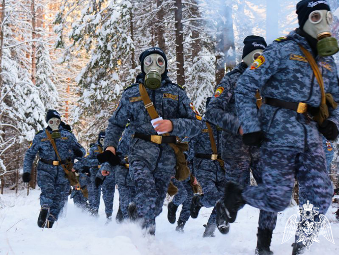 ПО ПРИМЕРУ ГРАФА Е.Ф. КОМАРОВСКОГО