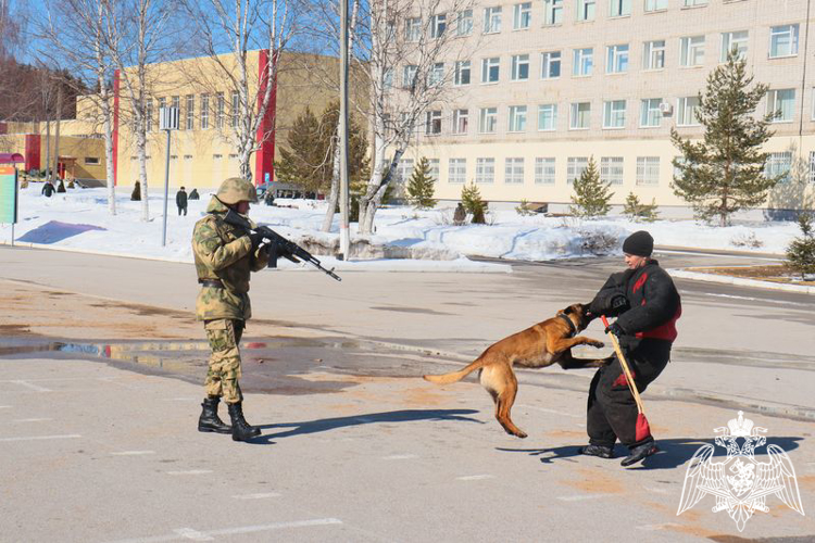 ПЕРМСКИЙ ВОЕННЫЙ ИНСТИТУТ ОТКРЫВАЕТ ДВЕРИ