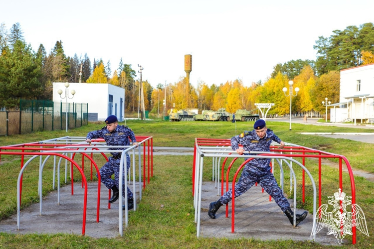 ПРЕОДОЛЕНИЕ ПРЕГРАД – ПУТЬ К ПОБЕДЕ