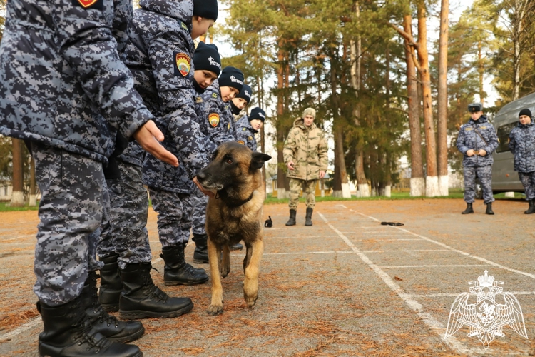 ТРАДИЦИИ, ЧЕСТЬ И СОВРЕМЕННАЯ ТАКТИКА